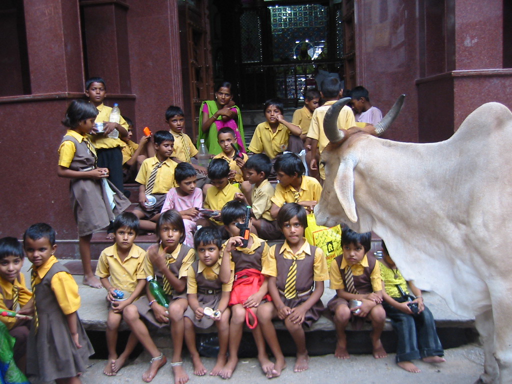 School & clean water for 240 children